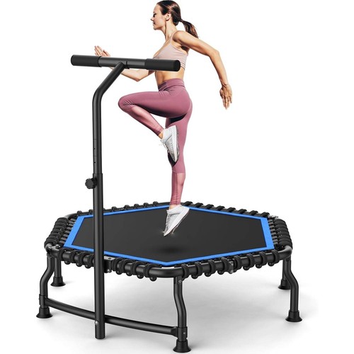 2026 adult rebounder - 50",